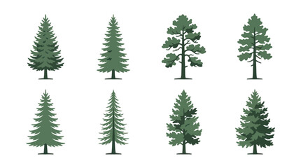 Obraz premium Collection of evergreen tree illustrations