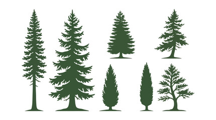 Fototapeta premium Collection of evergreen tree silhouettes