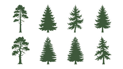 Obraz premium Collection of evergreen tree silhouettes