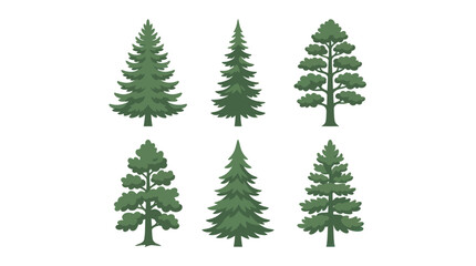 Fototapeta premium Collection of evergreen tree illustrations