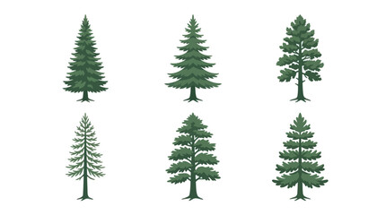 Fototapeta premium Collection of evergreen tree illustrations