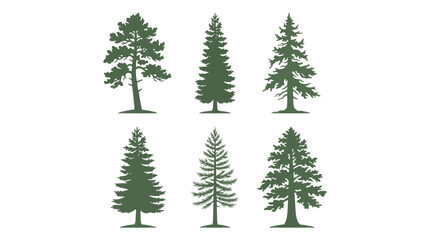 Obraz premium Collection of evergreen tree silhouettes