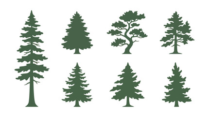 Obraz premium Collection of evergreen tree silhouettes