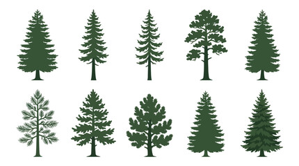 Collection of coniferous tree silhouettes © Aester