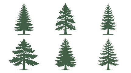 Fototapeta premium Collection of evergreen tree silhouettes