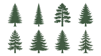 Obraz premium Collection of evergreen tree silhouettes