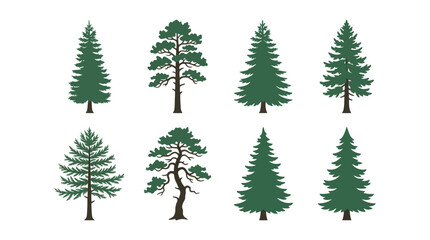 Obraz premium Collection of evergreen tree silhouettes