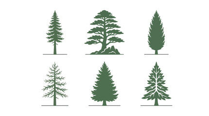 Obraz premium Collection of evergreen tree silhouettes