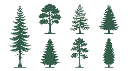Obraz premium Collection of evergreen trees