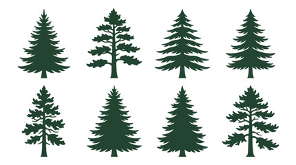Obraz premium Collection of evergreen tree silhouettes