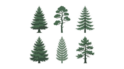 Collection of evergreen tree illustrations © Akun
