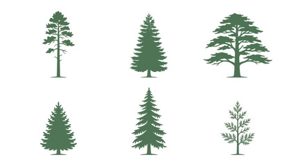 Obraz premium Collection of evergreen tree silhouettes