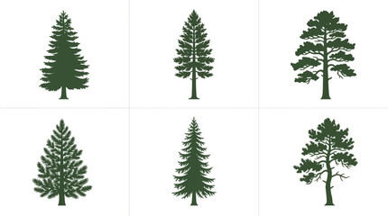 Fototapeta premium Collection of evergreen tree silhouettes
