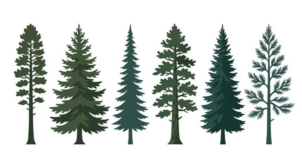 Obraz premium Collection of evergreen tree silhouettes