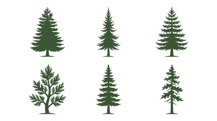 Obraz premium Collection of evergreen tree silhouettes