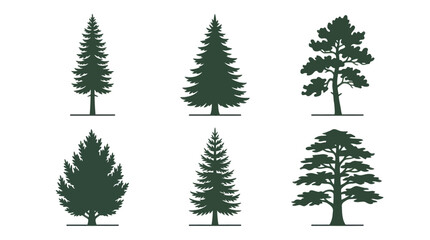 Obraz premium Collection of evergreen tree silhouettes