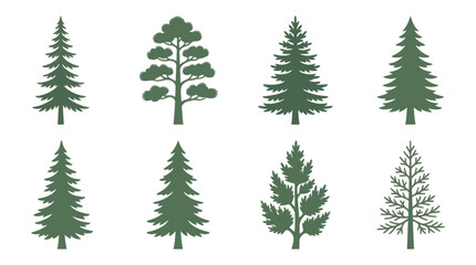Obraz premium Collection of evergreen tree silhouettes