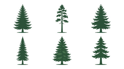 Obraz premium Collection of evergreen trees