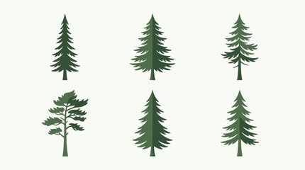 Obraz premium Collection of evergreen trees