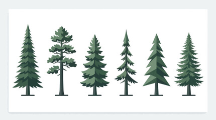Obraz premium Collection of evergreen trees
