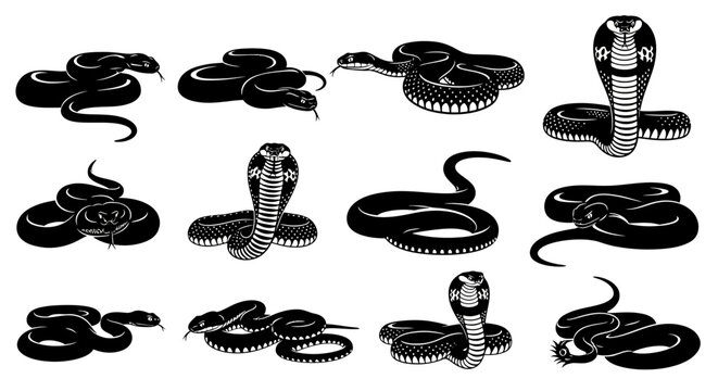 Black snake silhouette collection, 12 cobra and viper vector illustrations, predatory reptile icons set for tattoo design and wildlife graphics