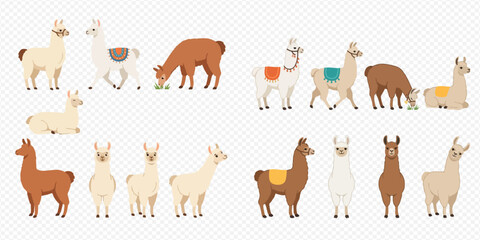 Collection of various cartoon llamas in different poses and colors, isolated on a transparent background, showcasing their unique characteristics and playful nature. © Akun