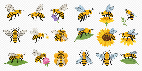 Set of cute cartoon bees in various poses, flying, sitting on flowers and leaves, and a honeycomb emblem, isolated on transparent background. © Akun