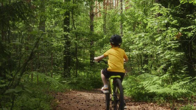Slow motion cinematic shot of a young boy entering from the right on a bicycle and riding downhill along a forest path while the camera rises smoothly, revealing a beautiful green woodland. 4k footage