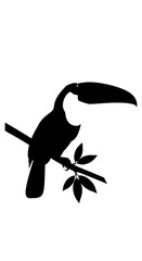 Fototapeta premium Minimalist toucan bird silhouette vector, tropical exotic bird perched on a branch, black and white wildlife illustration for logo design