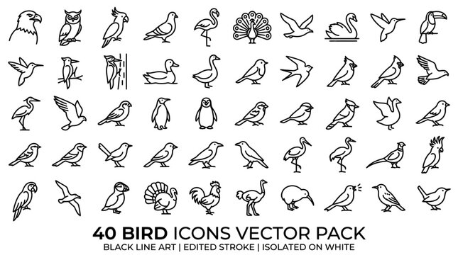 Bird species collection line icon set with animal kingdom wildlife ornithology
