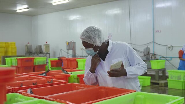 Food factory worker using a tablet to inspect fish production, Quality control supervisor checking products in a seafood plant, Industrial worker with tablet in a fish processing facility