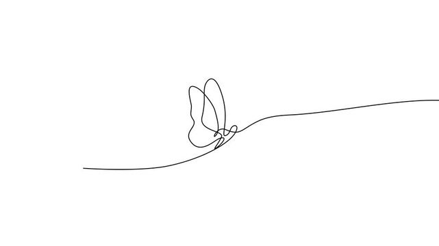 One Line Drawing Butterfly Animation