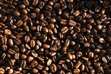 Obraz premium Roasted coffee beans in warm sunset light, close-up full frame texture with golden highlights, aromatic dark roast background for coffee, cafe and food design.