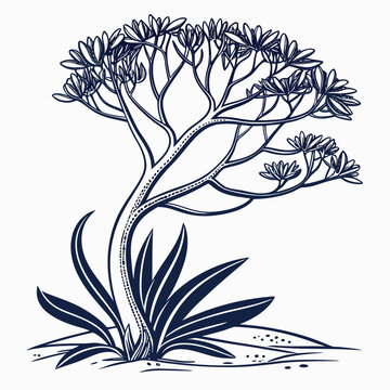 minimal vector of Xerophyllum 
