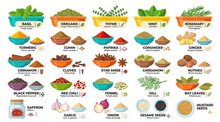 Variety of Fresh and Dried Herbs and Spices Collection © hana