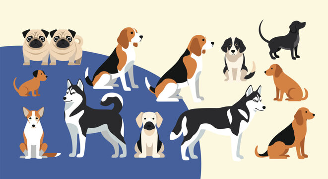 Diverse collection of different dog breeds shown in a flat vector illustration style including husky beagle pug and dachshund.