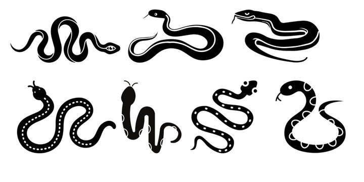Snake Silhouette Collection Vector Icons for Wildlife and Reptile Design
