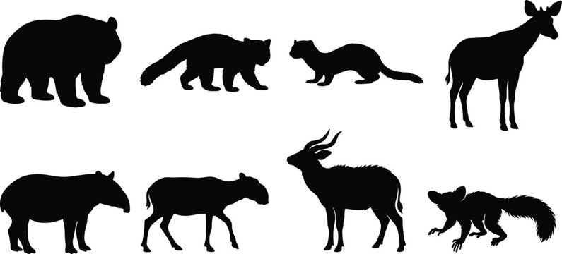 Wild Animal Silhouette Collection Featuring Bear Tapir Antelope Fox and Forest Mammals Vector Set