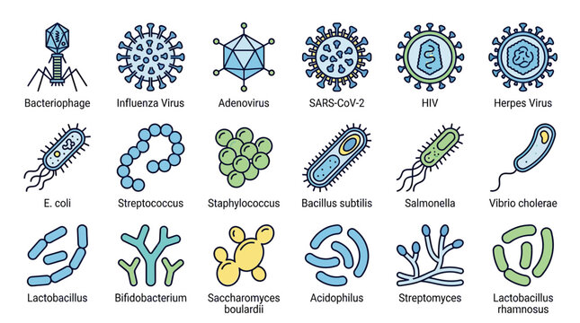 Collection of virus and bacteria illustrations: medical, science, and health icons