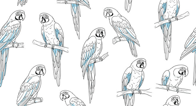 Seamless pattern of hand drawn parrots perched on branches features subtle light blue accents on their wings and tails.