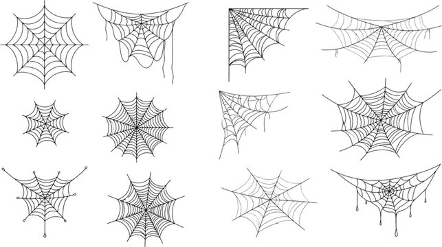  Spider Web Line Art Set with Halloween Cobweb Corner Borders