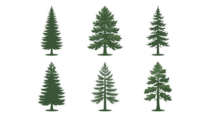Obraz premium Collection of evergreen tree illustrations