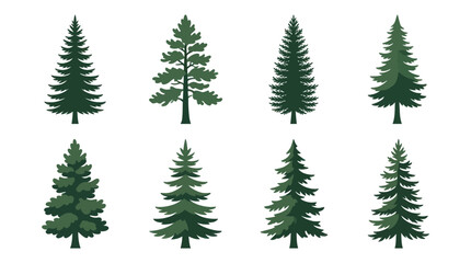 Obraz premium Collection of evergreen tree illustrations