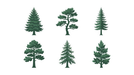 Fototapeta premium Collection of evergreen tree illustrations