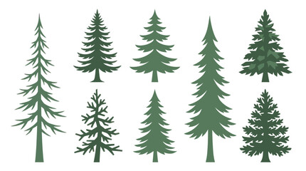 Obraz premium Collection of evergreen tree illustrations