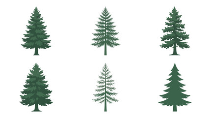 Obraz premium Collection of evergreen tree illustrations