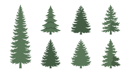 Obraz premium Collection of evergreen tree silhouettes