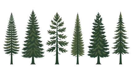 Fototapeta premium Collection of evergreen trees