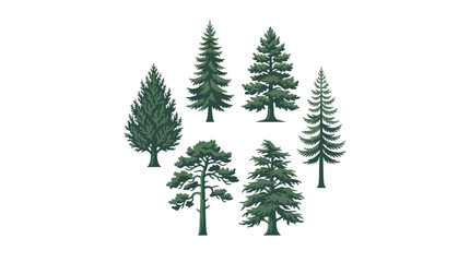 Obraz premium Collection of evergreen trees illustration