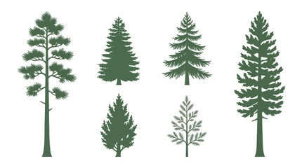 Obraz premium Collection of evergreen trees silhouettes